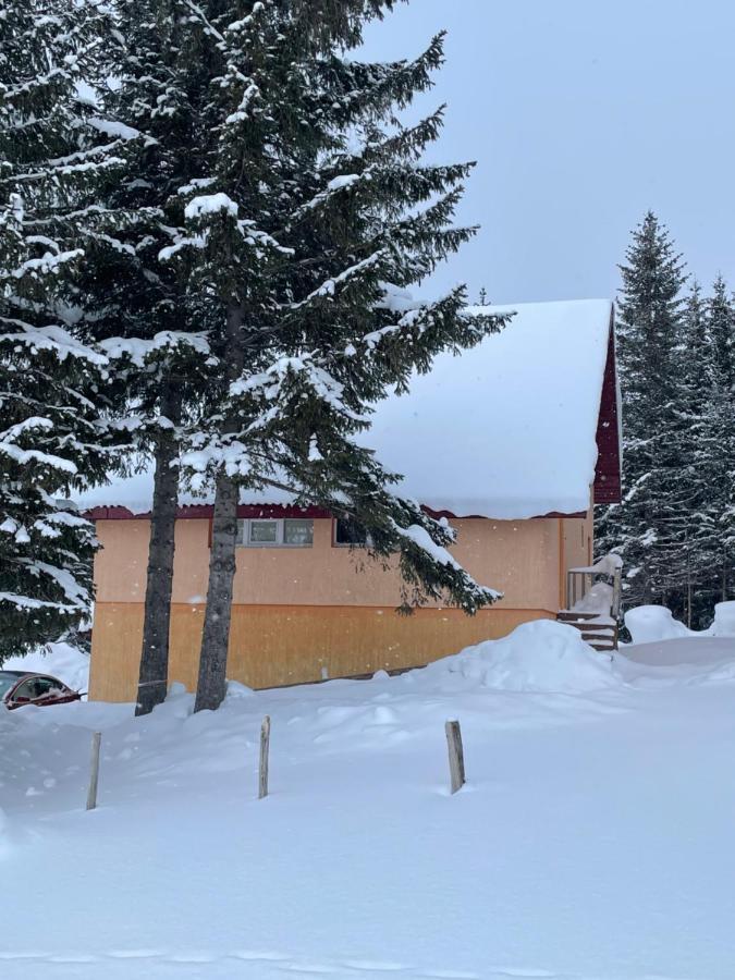 Durmitor Apartments Holiday Žabljak Eksteriør billede