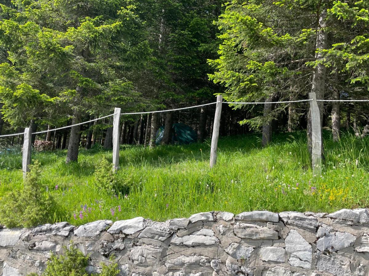 Durmitor Apartments Holiday Žabljak Eksteriør billede