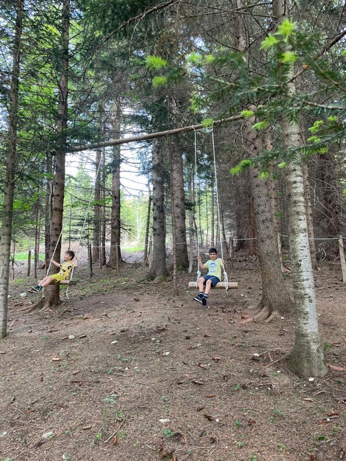 Durmitor Apartments Holiday Žabljak Eksteriør billede