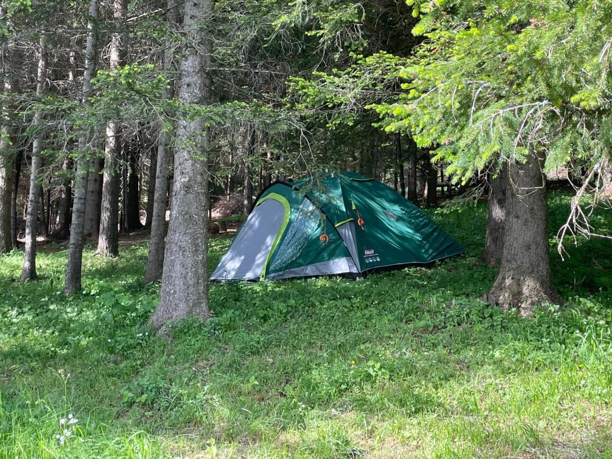 Durmitor Apartments Holiday Žabljak Eksteriør billede