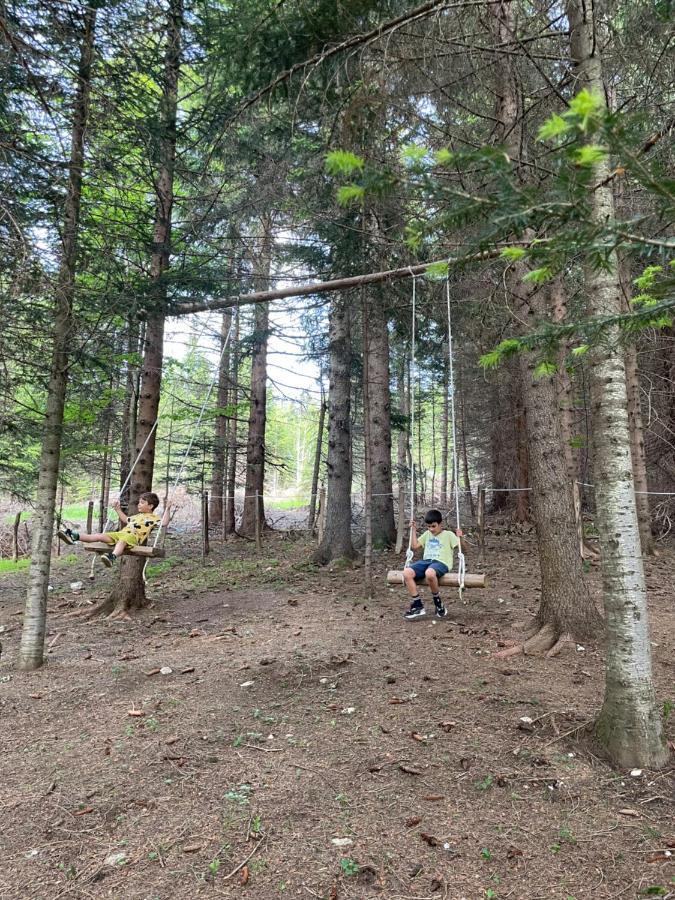 Durmitor Apartments Holiday Žabljak Eksteriør billede