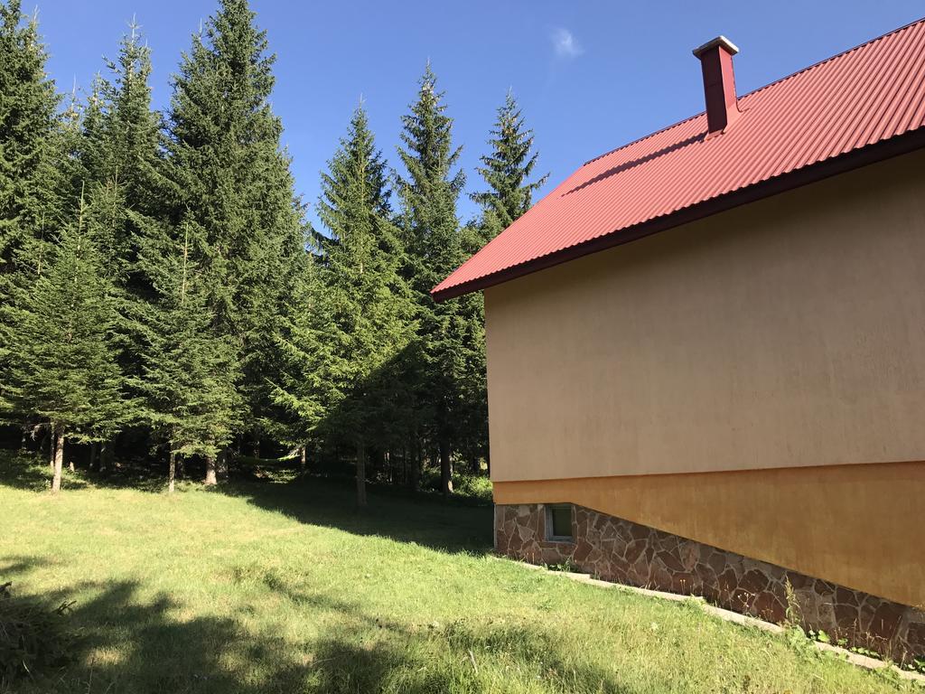 Durmitor Apartments Holiday Žabljak Eksteriør billede