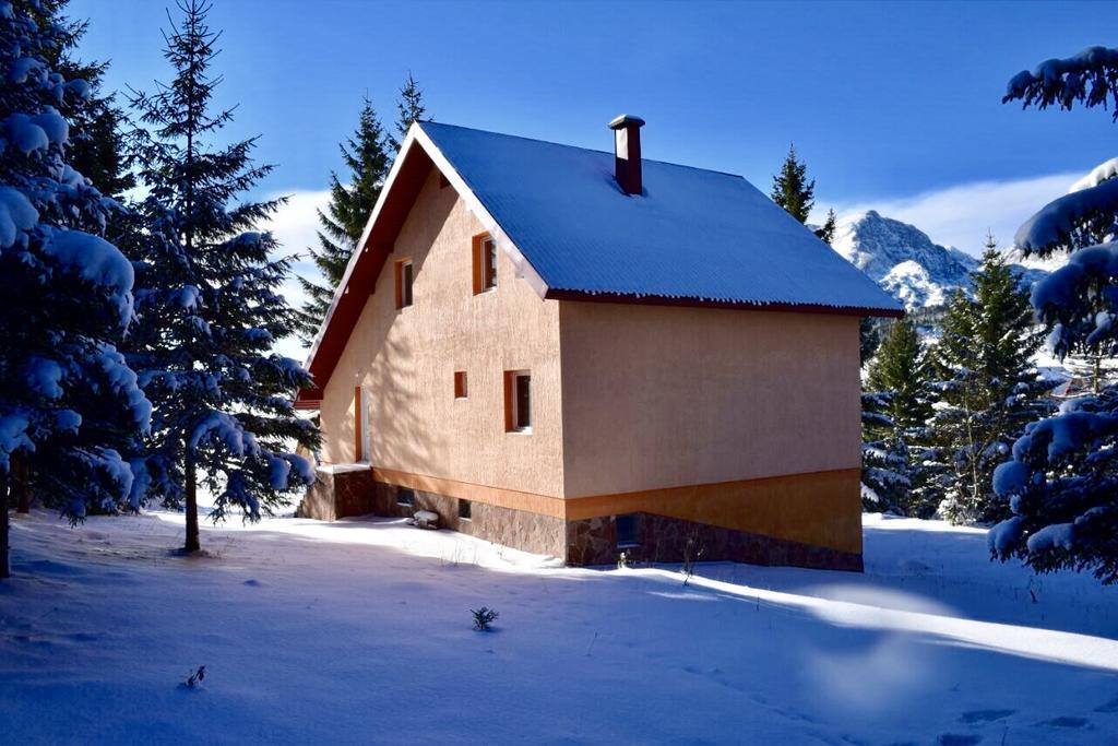 Durmitor Apartments Holiday Žabljak Eksteriør billede