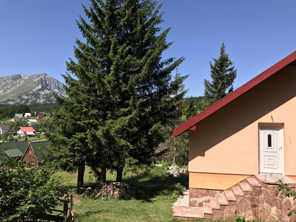 Durmitor Apartments Holiday Žabljak Eksteriør billede